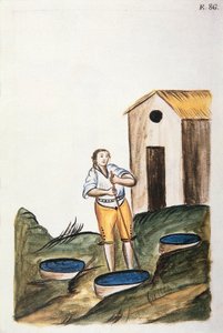 Modrý zásobník na barvivo používaný k barvení vlny, z knihy "Trujillo of Peru" nebo "Codex Martinez Companion", od Baltazara Martineze Companiona a Bujandy, biskupa z Trujillo (1782-1785) od Unknown artist