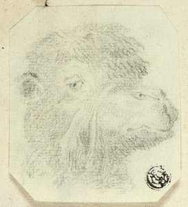 Velbloudí hlava směřující doprava od Unknown artist