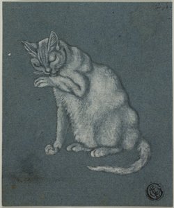 Kočičí lízání tlapky od Unknown artist