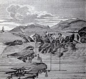 Lov korálů s pomocí salaber a zařízení. od Unknown artist