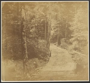 [Corduroy Road na cestě k Harper