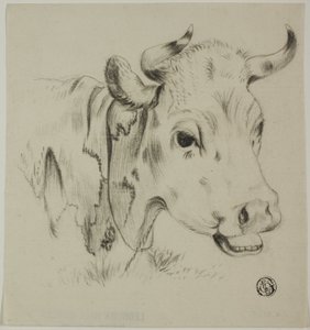 Kraví hlava od Unknown artist