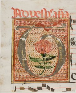 Zdobená iniciála "T" s květinou z rukopisu od Unknown artist