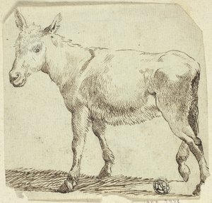 Osel od Unknown artist