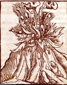 Erupce sopky. rytina 16. století. od Unknown artist