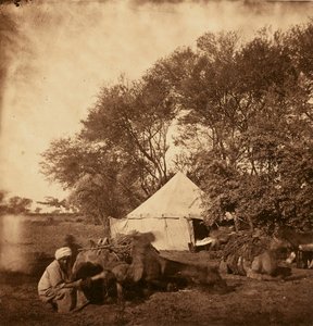[Faiyum Oasis] od Unknown artist