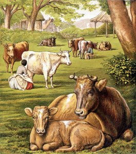 Zemědělci čerpající mléko. 19. století. od Unknown artist