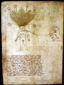 Samička mandragory extrahovaná z byliny ze 14. století. od Unknown artist