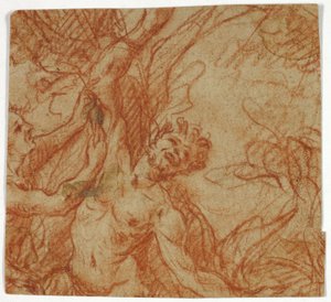 Usmrcení Marsyas od Unknown artist