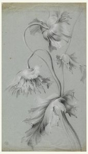 květinový design od Unknown artist