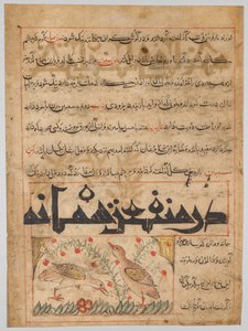Folio z perského Manafi‘ al-Hayawan (Výhody zvířat) Abu Said Ubaid-Allah ibn Jibrail ibn Bakhtishu (zemřel 1058–68) (verze) od Unknown artist