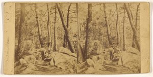 [Fontainebleau] od Unknown artist