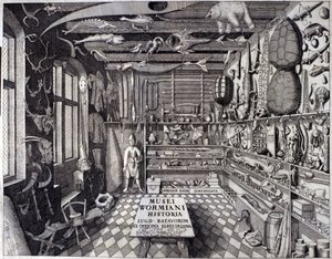 Frontispice „Musei Wormiani Historia““ ukazující interiér kabinetu kuriozit Oleho Worma nebo Olause Wormia od Unknown artist