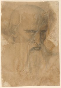 Hlava staršího vousatého muže od Unknown artist