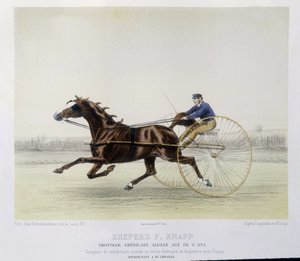 Jízda na koni: ovčák F. Knapp, klusák - v „“ kentaurovi““ od Unknown artist