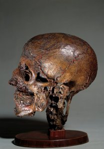 Lidská anatomická hlava vyrobená pomocí voskových injekcí. Soukromá sbírka z 18. století od Unknown artist