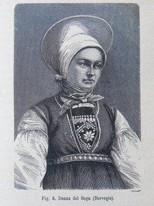 Ilustrace z "Lidská rasa" od Louise Figuiera od Unknown artist