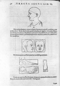 Obrázek fyziognomie z "Collectio Operum" od Roberta Fludda (Robertus de Waves). Londýn 1617. od Unknown artist