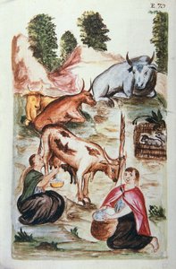 Indičtí pastevci pečující o krávy, z knihy "Trujillo del Peru" nebo "Códice Martínez Compañón", od Baltazara Martineze Compañóna y Bujandy, biskupa z Trujillo (1782-1785) od Unknown artist