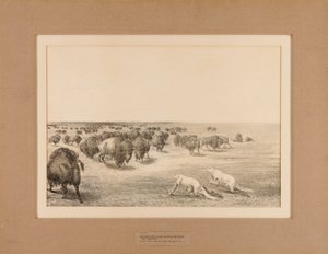 Indiáni převlečení za vlky - č. 13 od Unknown artist