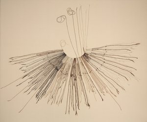 Inka Khipu (zařízení pro záznam vláken) od Unknown artist