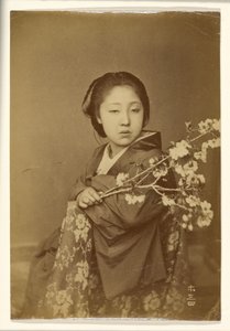 [Japonská žena drží rozkvetlou větev prunusu] od Unknown artist