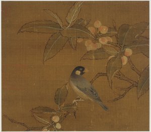 Java Sparrow na větvi bobule od Unknown artist