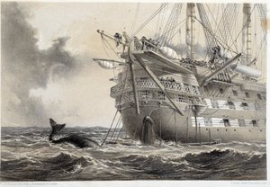 Položení atlantického telegrafního kabelu, velryba kolem lodi od Unknown artist