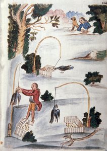 Metoda chytání ptáků lasem, z knihy "Trujillo del Peru" nebo "Códice Martínez Compañón", od Baltazara Martineze Compañóna y Bujandy, biskupa z Trujillo (1782-1785) od Unknown artist