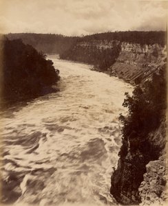 Niagara od Unknown artist