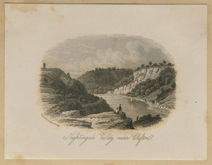 Nightingale Valley, nedaleko Cliftonu od Unknown artist