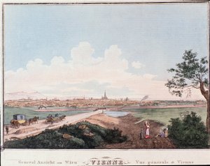 Pohled na město Vídeň s mostem přes Dunaj. Rakousko rytina ze soukromé sbírky z roku 1830 od Unknown artist