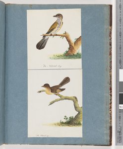 Strana 111. Neznámý pták. 112. Neznámý pták. od Unknown artist