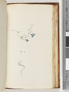 Strana 178. Neidentifikovaný závod od Unknown artist