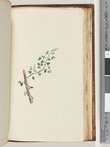 Strana 179. Neidentifikovaný závod od Unknown artist