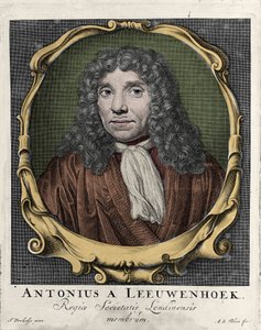 Portrét Antonie Van Leeuwenhoek nebo Anton van Leeuwenhoek, nebo Leeuwenhoek, nebo Leeuwenhoeck. Nizozemský přírodovědec (1632-1723). rytina z roku 1722. od Unknown artist