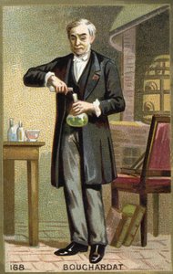 Portrét Bouchardat. Chromolitografie 19. století. od Unknown artist