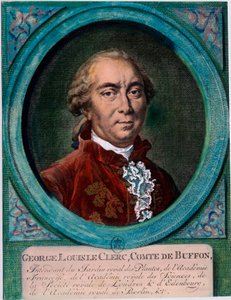 Portrét George Louise Le Clerca, hraběte z Buffonu (1707-1788), francouzského přírodovědce a spisovatele. Rytina 18. století. Soukromá sbírka. od Unknown artist