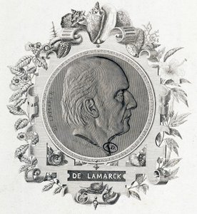 Portrét Jean Baptiste Lamarck - rytina od Unknown artist