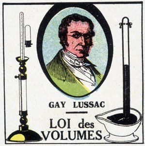 Portrét Louis-Joseph Gay-Lussac (Louis Joseph Gay Lussac) (1778-1818), francouzský fyzik a chemik, reprezentovaný zákonem objemů. od Unknown artist