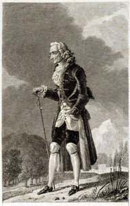 Portrét Voltaira (1694 - 1778), francouzského spisovatele a filozofa, staršího věku. od Unknown artist