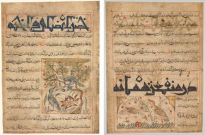Vlastnosti Ringdoves (recto); O výhodách křepelek (verso), od perského Manafi‘ al-Hayawan (Prospěch zvířat) Abu Said Ubaid-Allah ibn Jibrail ibn Bakhtishu (zemřel 1058–68) od Unknown artist