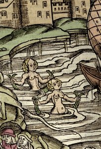 Zastoupení sirén. rytina 16. století od Unknown artist