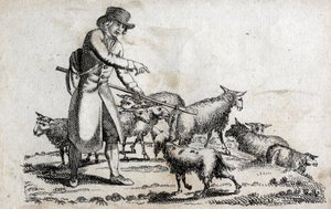 Pastýř se svým stádem ovcí. Rytina konce 18. století. Soukromá sbírka. od Unknown artist