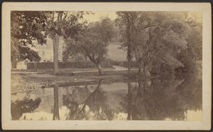 [Silverspring Pond] od Unknown artist