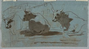 Náčrtky býků od Unknown artist