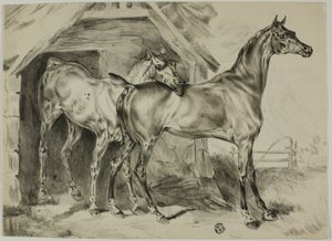 Stojící Mare a Colt od Unknown artist