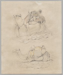 Studium velbloudů od Unknown artist