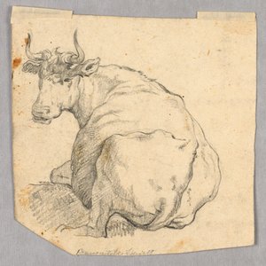 Studie krávy od Unknown artist