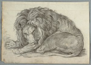 Studie lva od Unknown artist